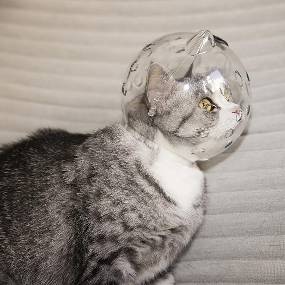 Casco trasparente per gatti GARVEE con funzione protettiva, traspirante, in materiale PET leggero per il recupero e la cura, trasparente, confortevole