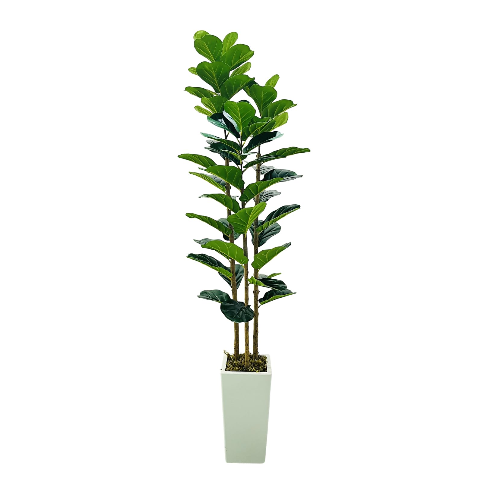 Albero artificiale Garvee da 6 piedi per interni, realistico, senza manutenzione, versatile, durevole, verde