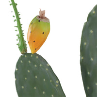 Cactus artificiale Garvee da 42" in materiale EVA, facile da pulire, durevole, vaso in PP stabile per uso interno ed esterno, realistico, nero