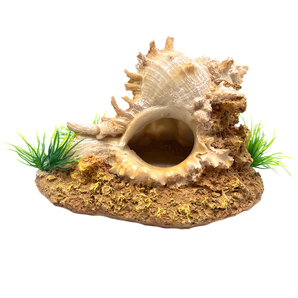 Garvee Decorazione a forma di conchiglia per acquario bianca rotonda – Decorazione realistica in resina per acquario e terrario – Rifugio sicuro per pesci, gamberetti e paguri