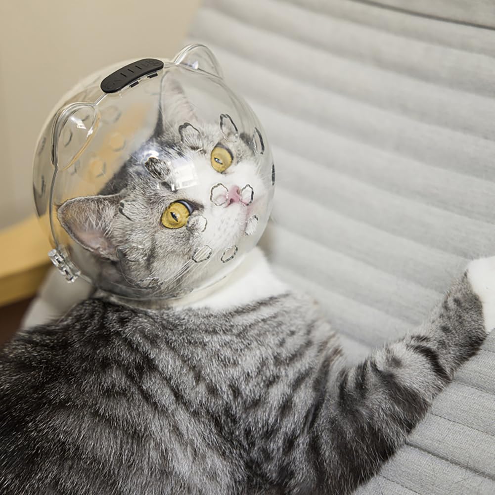 Casco trasparente per gatti GARVEE con funzione protettiva, traspirante, in materiale PET leggero per il recupero e la cura, trasparente, confortevole