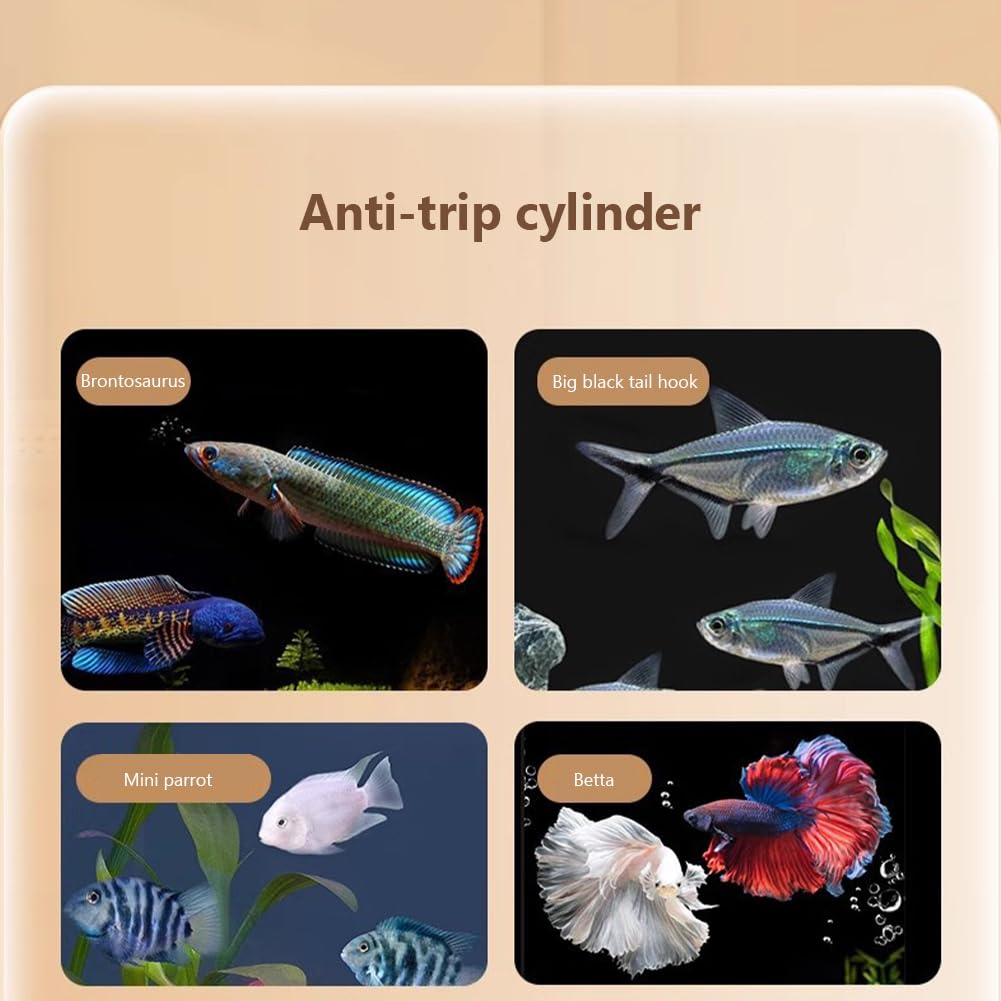 GARVEE 30 x 20 cm Copertura per acquario Rete anti-molla Accessorio per rete di ricambio per acquario Protezione trasparente per pesci