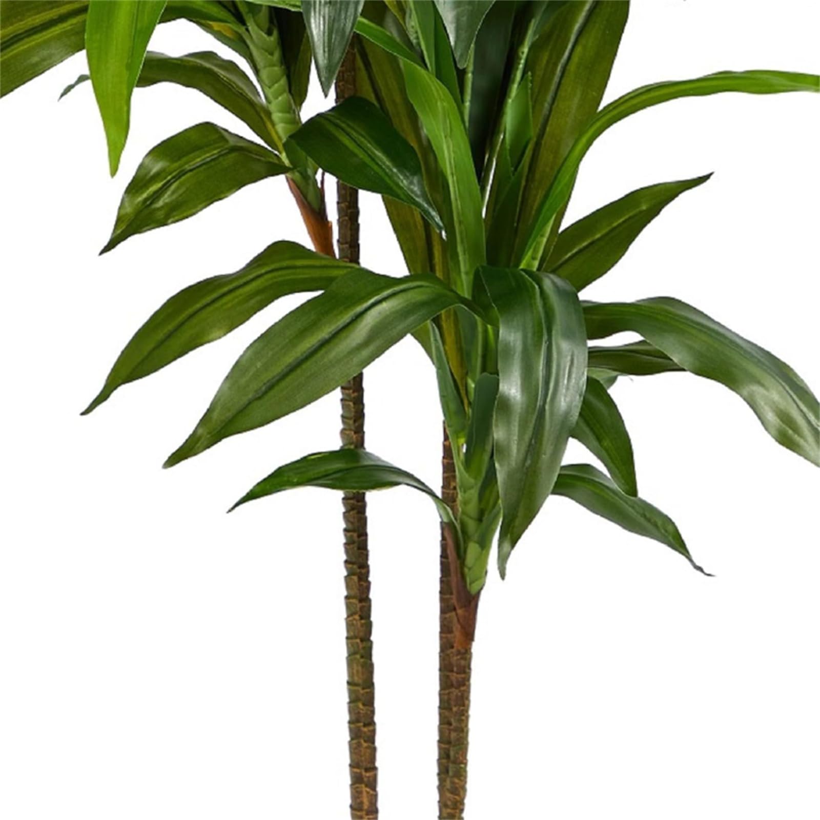 Albero di dracena artificiale Garvee da 4 piedi/5 piedi con vaso per soggiorno e ufficio, rami e foglie resistenti, tessuto di seta, facile da pulire, verde
