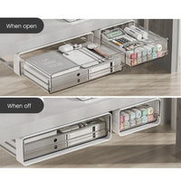 Organizzatore estensibile sottopensile Garvee con cassetti in plastica, cassetti scorrevoli, accessori per cucina e ufficio 31x20x8,6 cm