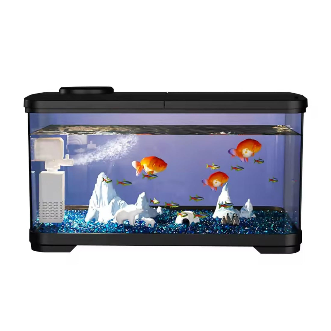 Acquario Garvee da 4 galloni con luce LED, generatore di ossigeno, acrilico, pompa filtro silenziosa, ecosistema autosufficiente, kit di avviamento per la casa