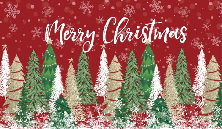 Zerbino decorativo Garvee Christmas Welcome, antiscivolo, lavabile, per uso interno ed esterno, 40x60 cm