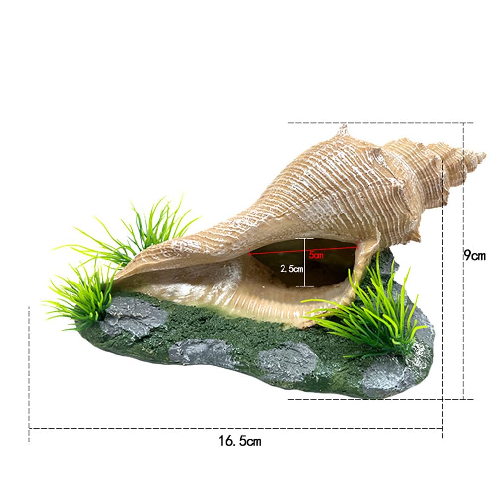 Garvee Decorazione a forma di conchiglia per acquario bianca rotonda – Decorazione realistica in resina per acquario e terrario – Rifugio sicuro per pesci, gamberetti e paguri