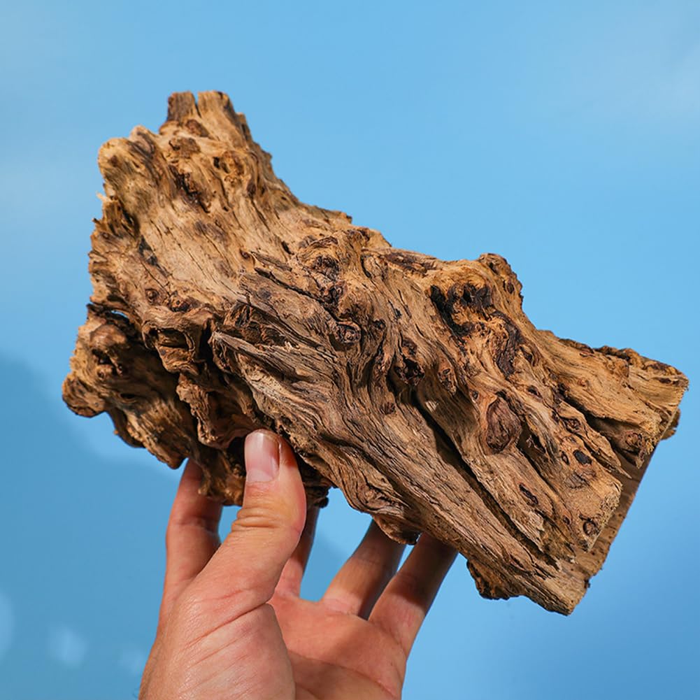 Grotta decorativa per acquario Garvee, grotta naturale per la deposizione delle uova, realizzata in tronco d'albero, per lucertole, tartarughe e gamberetti