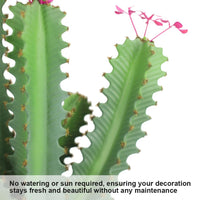 Cactus artificiale Garvee da 3 piedi, design realistico, in plastica, per uso interno ed esterno, 36 pollici, verde