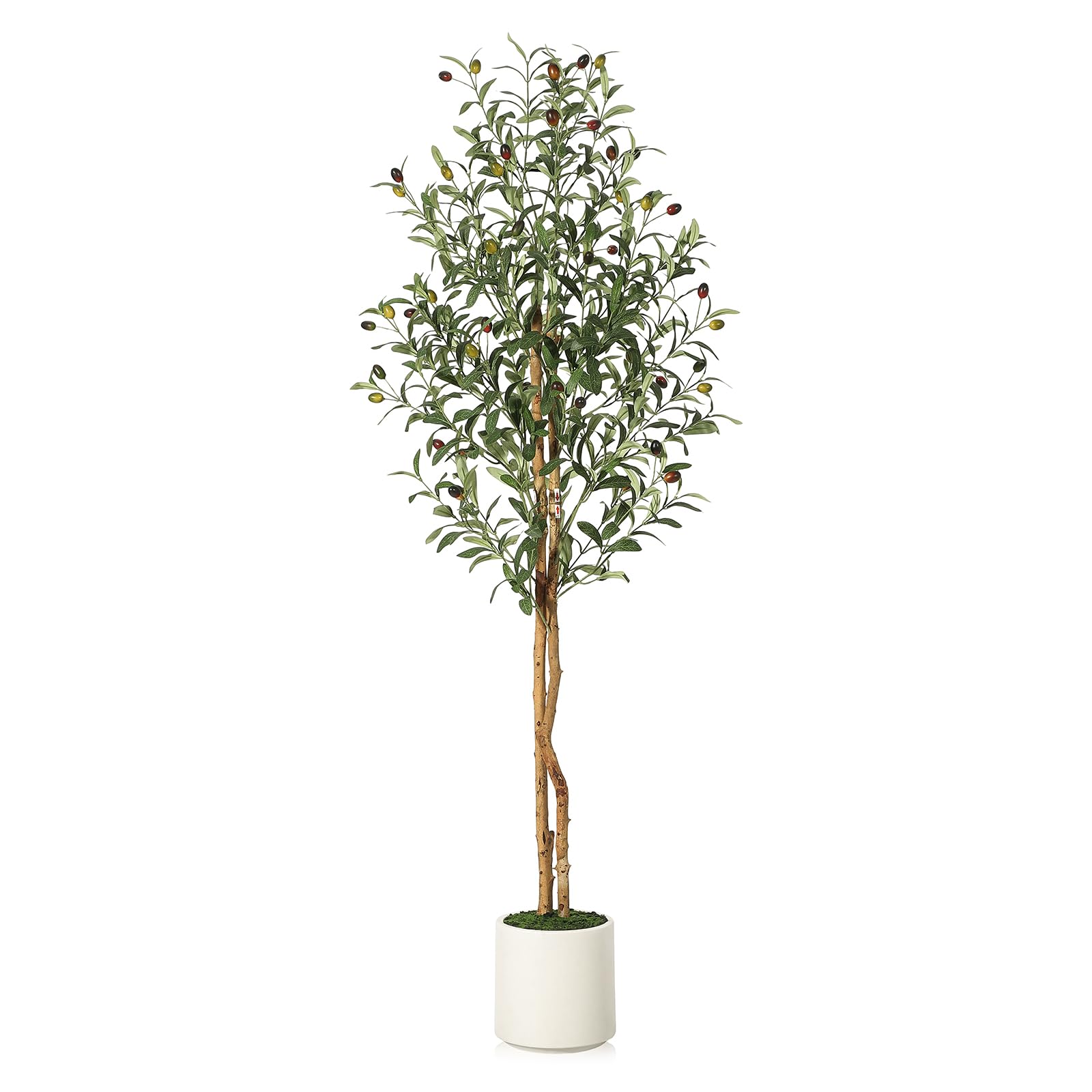 Albero di ulivo artificiale Garvee da 1,5 m con 2 tronchi di legno e vaso di cemento bianco per la decorazione di soggiorno e ufficio, rami regolabili, 864 foglie di seta