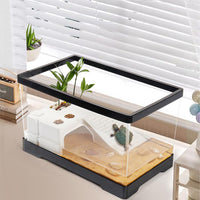 Acquario per tartarughe Garvee con drenaggio, piattaforma prendisole, vasca per rettili trasparente, L 40 x 18,5 x 22 cm, trasparente