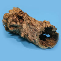 Grotta decorativa per acquario Garvee, grotta naturale per la deposizione delle uova, realizzata in tronco d'albero, per lucertole, tartarughe e gamberetti