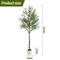 Albero di ulivo artificiale Garvee alto 180 cm, vaso bianco, realistico, resistente ai raggi UV, decorazione per interni, soggiorno, ufficio, giardino