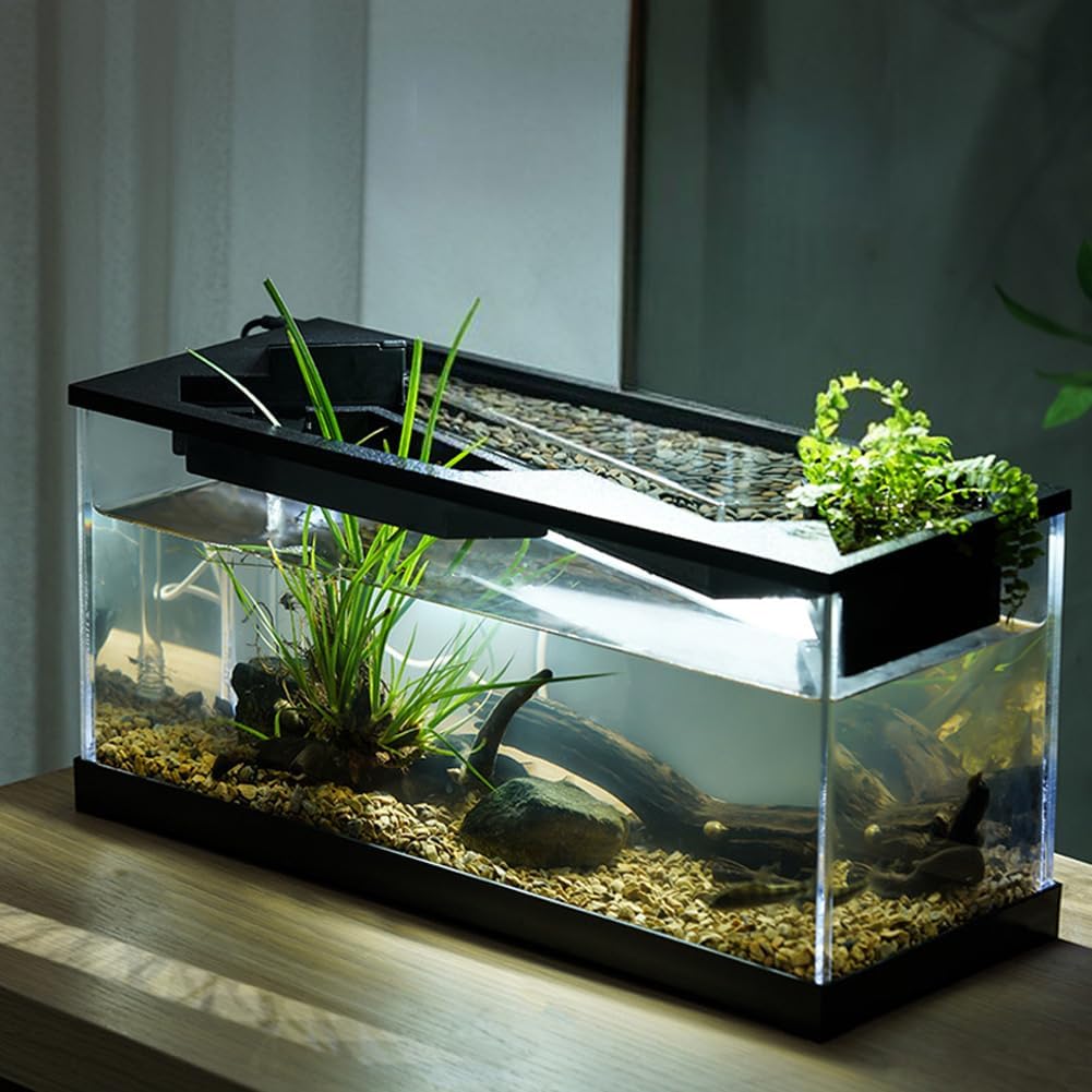 Kit per acquario piccolo Garvee da 3 galloni per pesci Betta con luce LED, generatore di ossigeno, acrilico, filtro silenzioso per ufficio e casa, trasparente