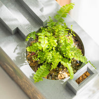Garvee Micro Landscape Aquarium Set completo con filtro a flusso d'acqua silenzioso per la decorazione della scrivania dell'ufficio 31,5x13x16,5 cm trasparente
