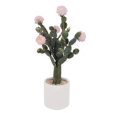 Garvee Cactus Artificiale 5Ft UV Resistente in Verde e Rosa, Materiale EVA, per Interni e Uffici
