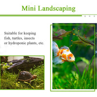 Garvee Acquario piccolo da 5 galloni per pesci rossi trasparente con copertura per casa e ufficio, acrilico altamente trasparente, pompa USB