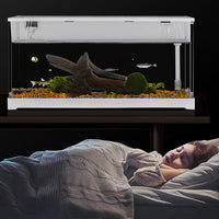 Mini acquario in acrilico Garvee per pesci rossi con illuminazione a LED, filtro integrato, pompa silenziosa, cascata ossigenante, acrilico trasparente, dimensioni compatte, trasparente