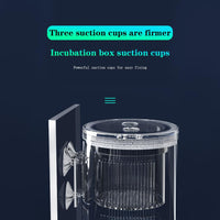 Garvee Aquarium Fish Breeding Box, scatola di covata in acrilico con ventose per pesciolini, gamberetti, pesci pagliaccio e guppy