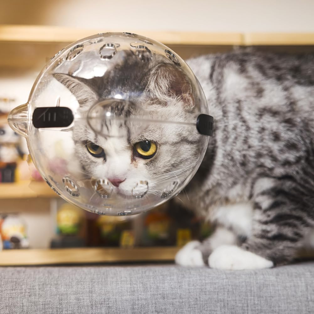 Casco trasparente per gatti GARVEE con funzione protettiva, traspirante, in materiale PET leggero per il recupero e la cura, trasparente, confortevole