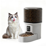 Garvee Distributore Automatico di Cibo 4L per Gatti e Cani, Timer Programmabile, Doppia Alimentazione, Plastica Resistente, Casa, Nero - Weiß