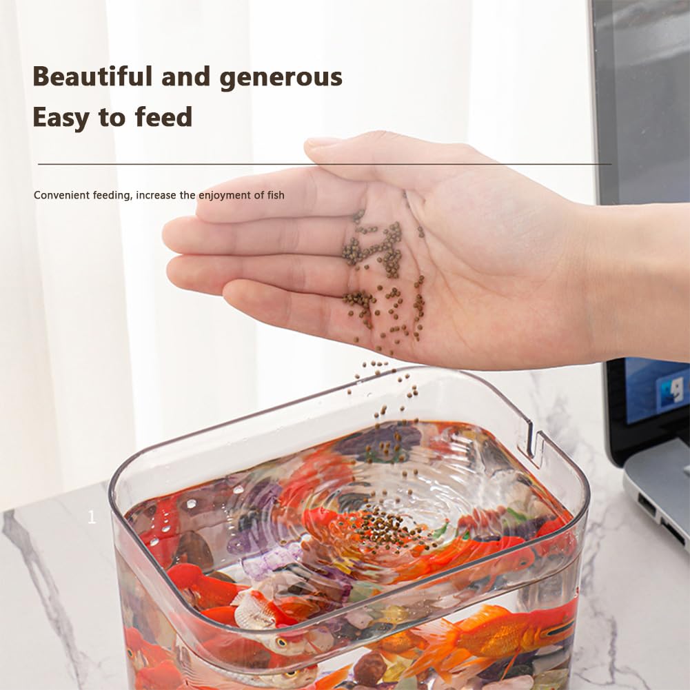 Garvee Acquario piccolo trasparente con pompa ad aria USB, scatola di riproduzione, acquario ecologico per soggiorno, ufficio domestico, decorazione da scrivania, 16 x 12 cm, trasparente