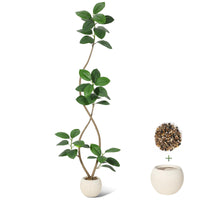 Albero di gomma artificiale Garvee da 7 piedi con vaso in resina bianca, resistente ai raggi UV, durevole, realistico, decorazione per interni, grande pianta da pavimento