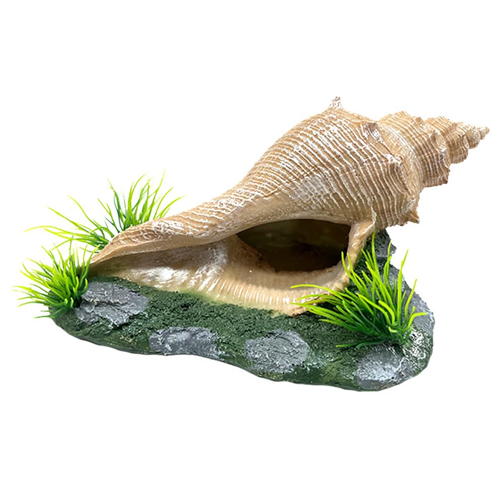 Garvee Decorazione a forma di conchiglia per acquario bianca rotonda – Decorazione realistica in resina per acquario e terrario – Rifugio sicuro per pesci, gamberetti e paguri