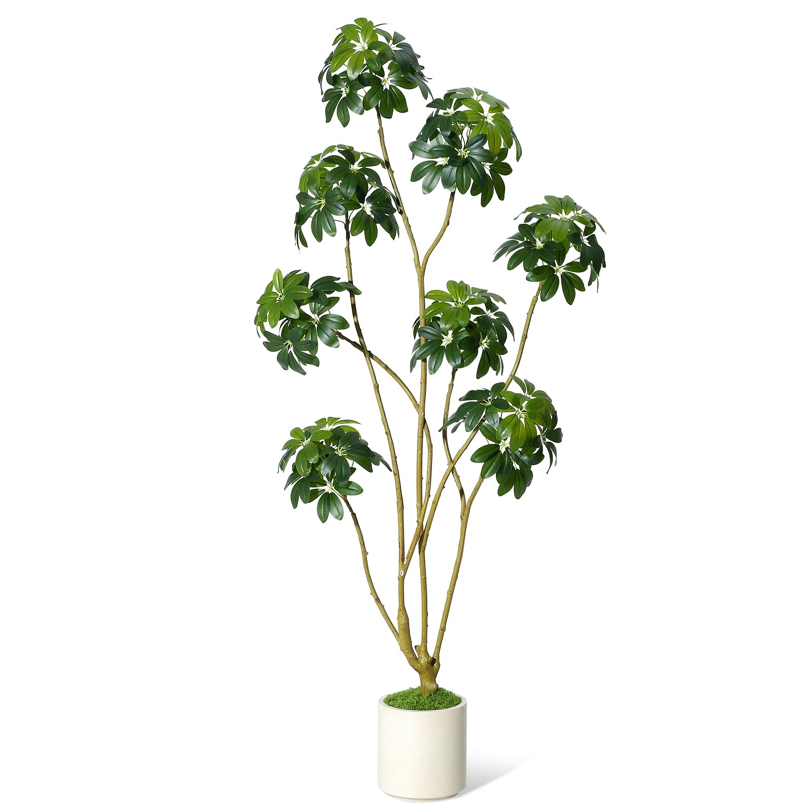 Garvee, albero artificiale alto 6 piedi, multi-stelo, vaso in PE bianco, per la decorazione di casa e ufficio, 70x27,5 pollici