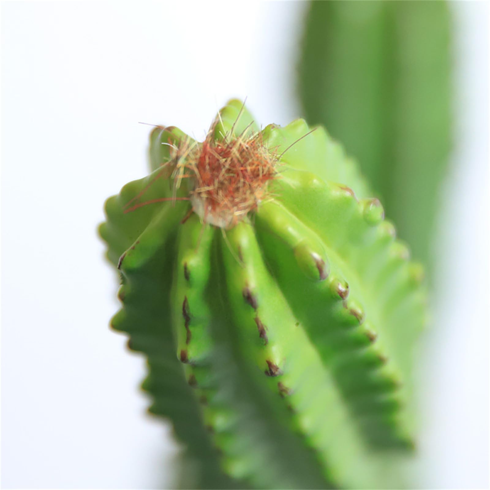 Cactus artificiale Garvee da 32 pollici con texture realistica, materiale PE resistente per ufficio e casa, verde