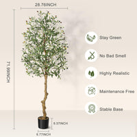 Albero di ulivo artificiale Garvee da 6 piedi con foglie di silicato e vaso di cemento stabile per soggiorno e ufficio, realistico, verde