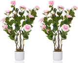 Garvee Albero Artificiale Camellia 2.5FT, 2 Pezzi, Fioritura Permanente, Vaso Bianco Stabile, Foglie PEVA, Decorazione Interni Ufficio Casa - 2.5Ft-Pink