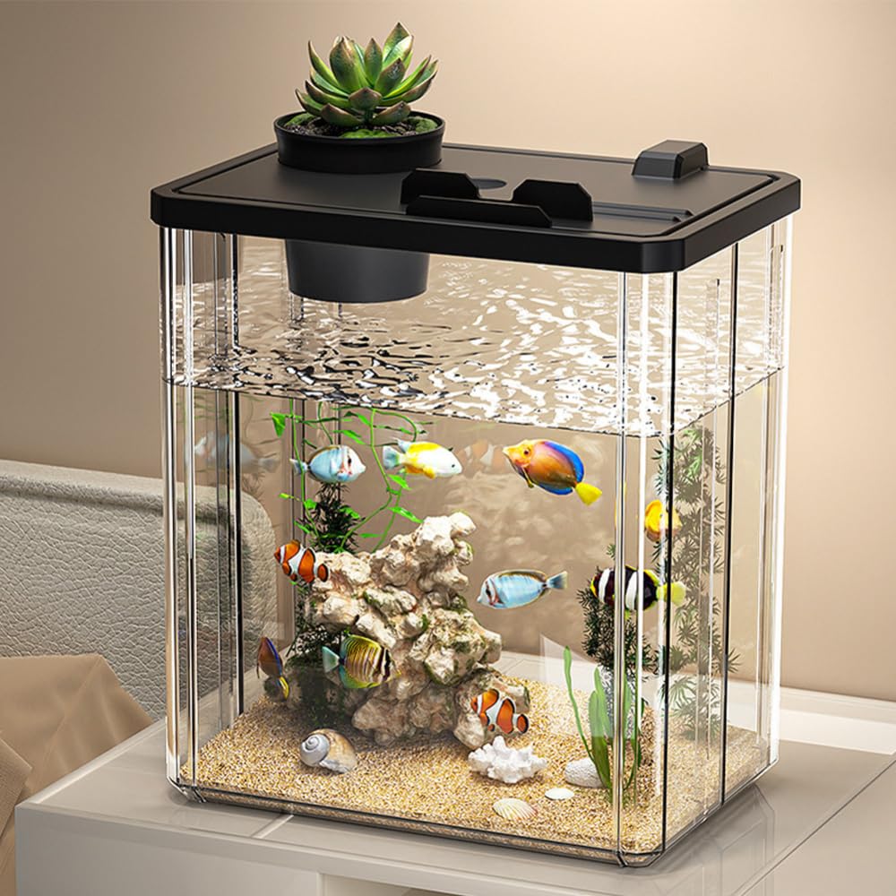 Kit di avviamento per mini acquario Garvee con pompa e luce LED, acrilico, trasparente per tavolo e piccoli pesci