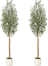 Garvee Alberi di Ulivo Artificiali 7 ft con Rami Regolabili e Vasi Bianchi per Decorazione Interni, Verde Naturale