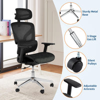 Sedia da ufficio ergonomica Garvee con schienale alto in rete e braccioli 4D, supporto lombare per ufficio domestico, altezza del sedile regolabile, nera