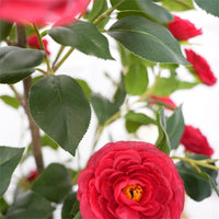 Albero di camelia artificiale rosso Garvee da 5 piedi con fiori e foglie realistici per soggiorno e uso esterno, facile da pulire, robusto, rosso