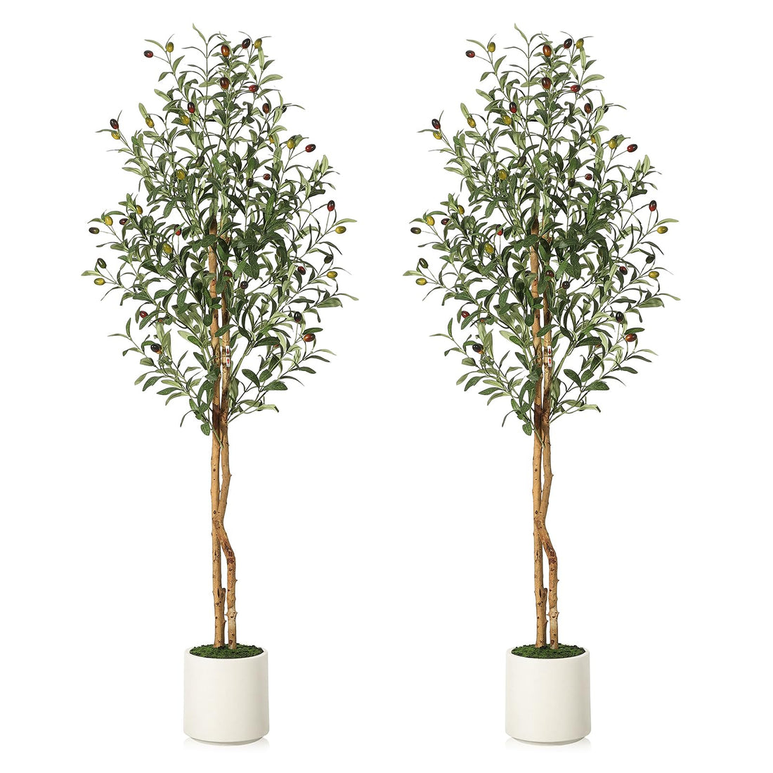 Albero di ulivo artificiale Garvee da 1,5 m con 2 tronchi di legno e vaso di cemento bianco per la decorazione di soggiorno e ufficio, rami regolabili, 864 foglie di seta