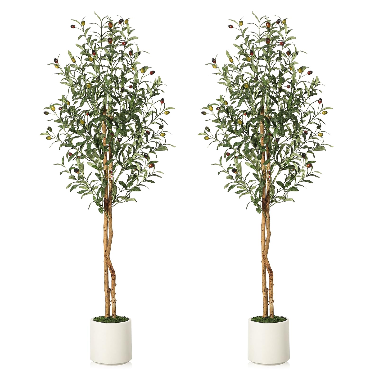 Albero di ulivo artificiale Garvee da 1,5 m con 2 tronchi di legno e vaso di cemento bianco per la decorazione di soggiorno e ufficio, rami regolabili, 864 foglie di seta