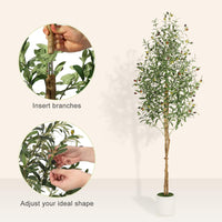 Albero di ulivo artificiale Garvee da 6 piedi con 2 tronchi di legno, vaso in cemento bianco per soggiorno e ufficio, facile da curare