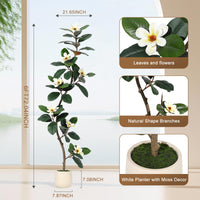 Albero di gomma artificiale Garvee da 6 piedi con fiori di magnolia, fioriera bianca, decorazione per interni, ufficio e soggiorno