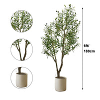 Garvee Albero di ulivo artificiale a LED con luci e timer, decorazione per interni, 180 cm, verde, bianco caldo