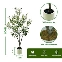 Albero di ulivo artificiale Garvee da 5 piedi con vaso bianco, pianta di seta realistica, rami regolabili per decorazioni interne ed esterne, tronco in legno naturale, verde scuro