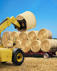 Forca da fieno Garvee da 49" con capacità di 4500 libbre, punta di lancia a sgancio rapido, acciaio per molle, protezione dalla corrosione per trattori e caricatori, rossa