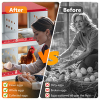 Nido per polli Garvee, 6 scomparti, acciaio zincato, ventilato, robusto, per polli e conigli nel pollaio, grande, metallo