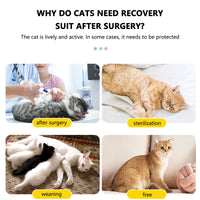 Garvee Tuta Recupero Gatto Body Post-Operatorio Protezione Wound Care Cotone Regolabile Verde S - Comfort e Protezione per la Guarigione