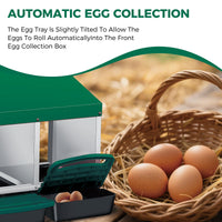 Nido per polli Garvee con 4 scomparti, acciaio zincato, verde, per pollaio, deposizione delle uova