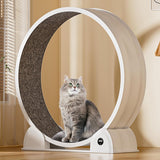 Ruota per esercizi per gatti Garvee da 45 pollici silenziosa con contapassi, pista da corsa staccabile in moquette, materiale ABS, stabile per la salute in ambienti chiusi, multifunzionale, grande, grigio