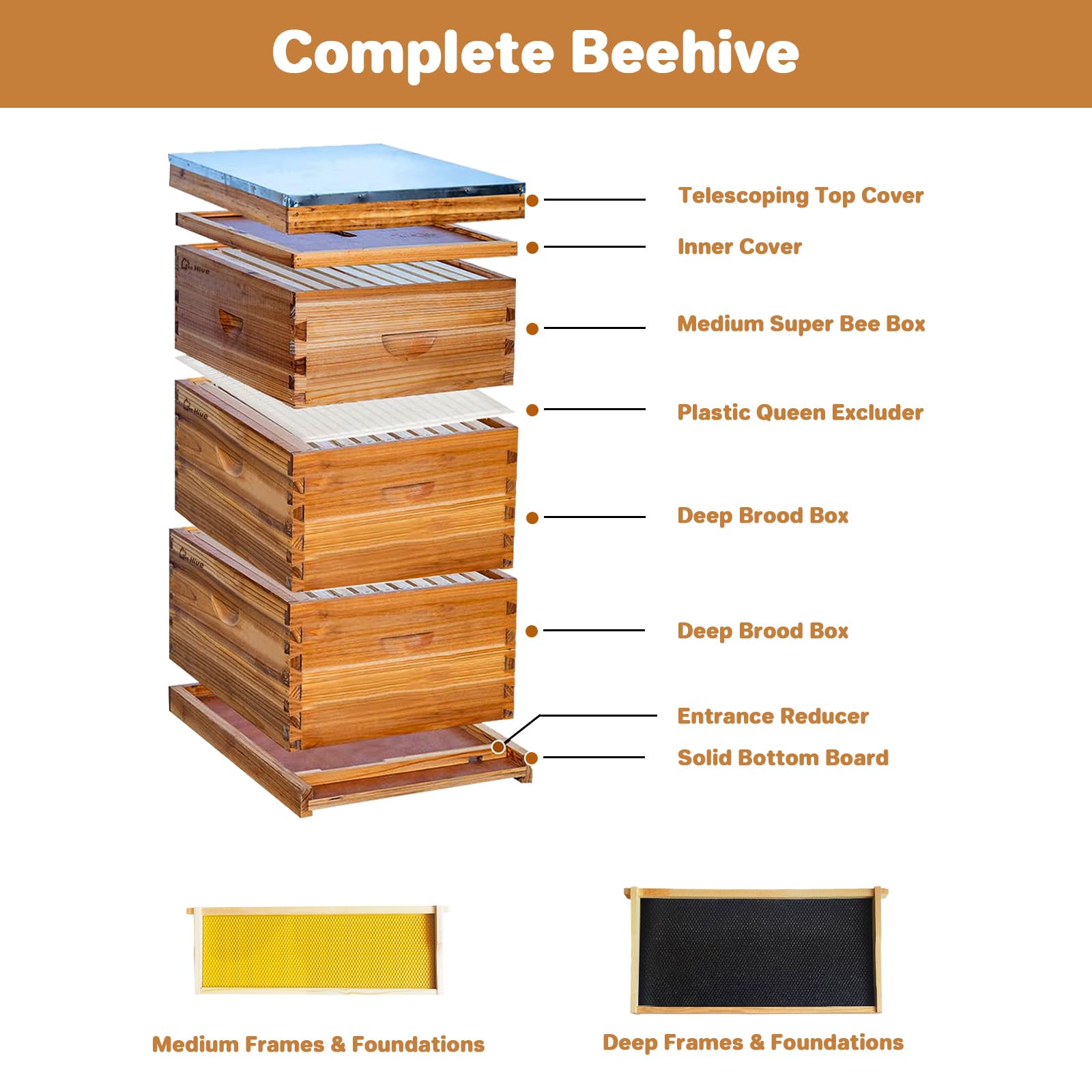 Garvee Beehive Starter Set Langstroth 10-Frame Cedar Wood Bees wax Beekeeping Beginner Set Accessori completi per arnie