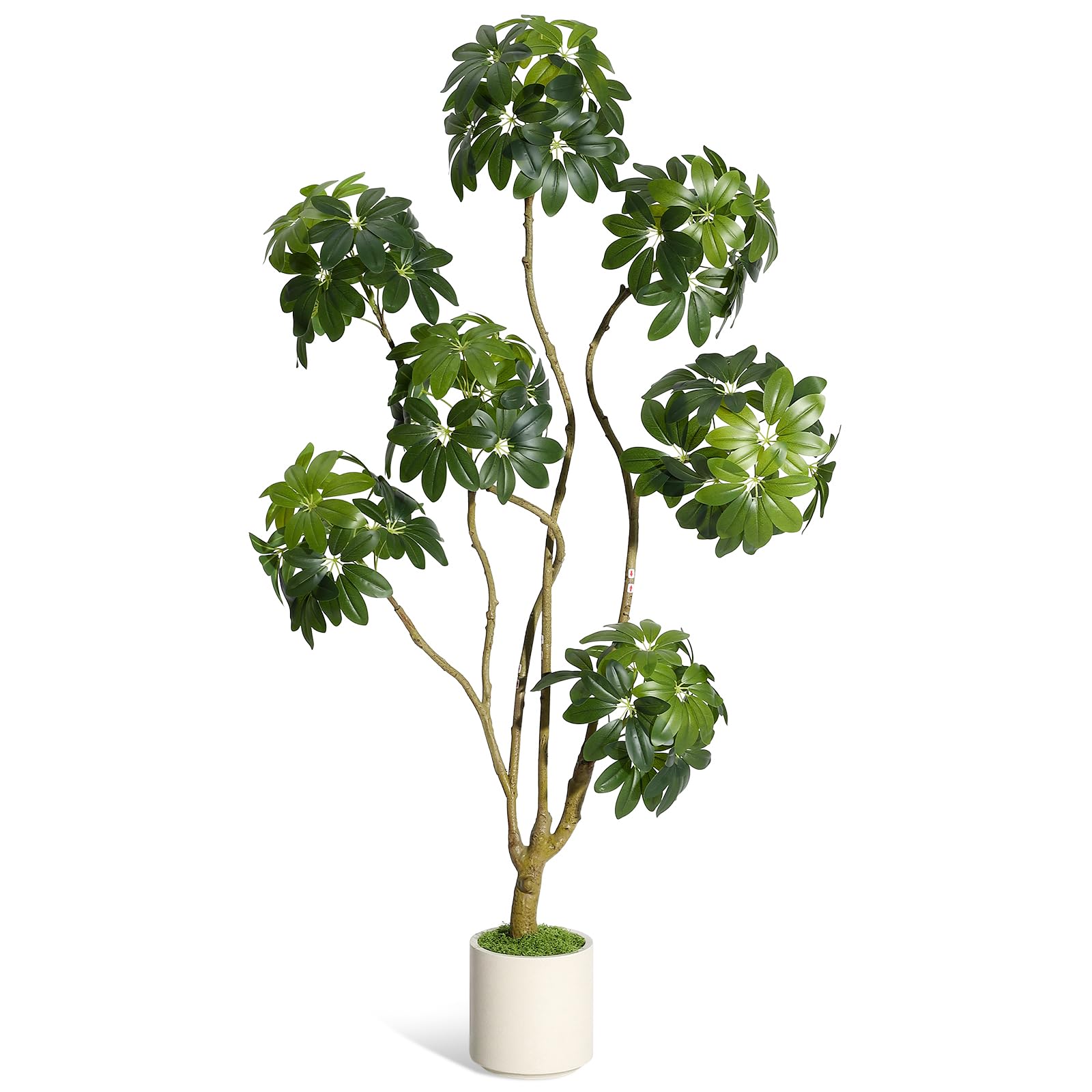 Albero di Schefflera artificiale Garvee da 5 piedi con ombrello e 5 tronchi, vaso di fiori in PE bianco per casa e ufficio