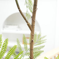 Albero di Jacaranda artificiale Garvee, confezione da 2, 2 m, con foglie realistiche, per ufficio e soggiorno, facile da pulire, verde
